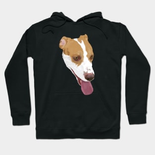 Pitbull Terrier Mix Hoodie